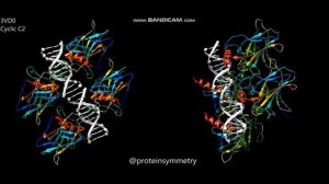 Tumor protein p73 with and without host (nucleic acid)