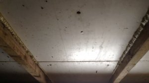 Как просто и не дорого построить своими руками курятник. свинарник. сарай. видео 1.