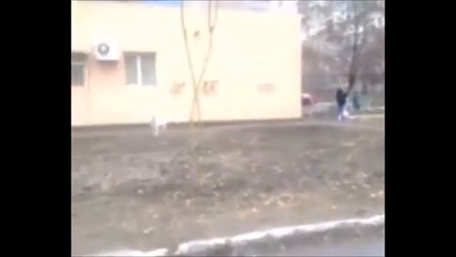ультрозвуковой отпугиватель собак направленного действия