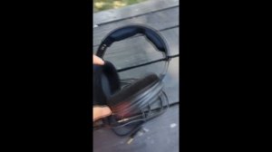 Beyerdynamic DT 250 спустя год
