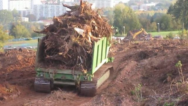 Lohnbagger De Raupendumper 8 Kettendumper Baggerbetrieb Aschersleben Hettstedt Quedlinburg Forstbau