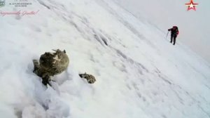 Мумии альпинистов, исчезнувших 56 лет назад, нашли в Мексике