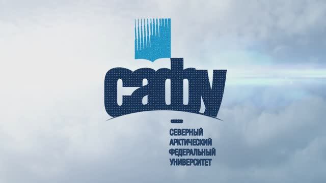 Сакаи сафу