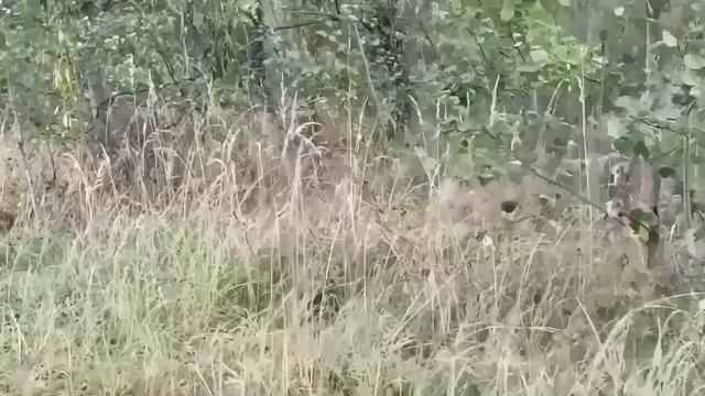 ПОЛОУМНЫЕ ВОНЮЧКИ! ПИРАТСКАЯ ЖИЗНЬ. смотреть онлайн