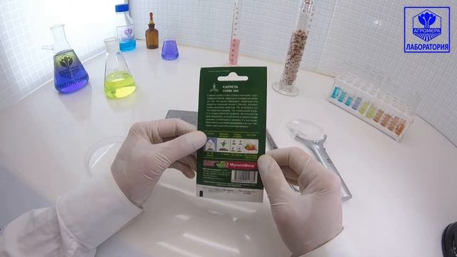 Капуста белокочанная Слава 1305. Евро Семена смотреть онлайн