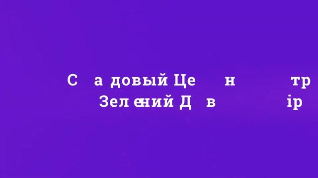 Садовый Центр Зелений Двір - Коника - ель канадская Conica C3 смотреть онлайн