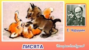 Евгений Чарушин. ЛИСЯТА. Малышам 2+