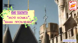 110. Как сказать "моя кошка", "ваши проблемы" и т.д. + упражнение с ответами. Уровень А1-А2.