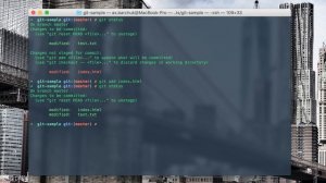 Git: Урок 6. Отмена индексированных файлов