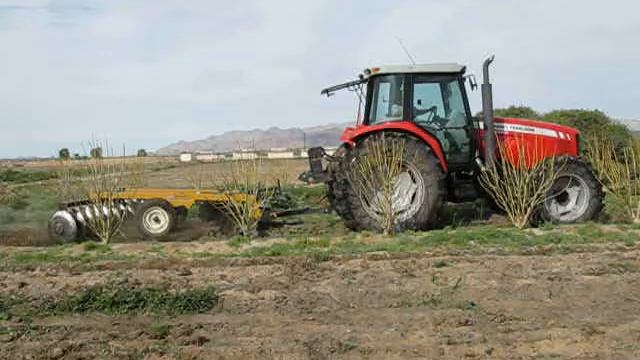 Jatropha Farming Maintenance смотреть онлайн