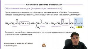 Биология в химии? Всё о химии белков! | Химия ЕГЭ 2023 | Умскул