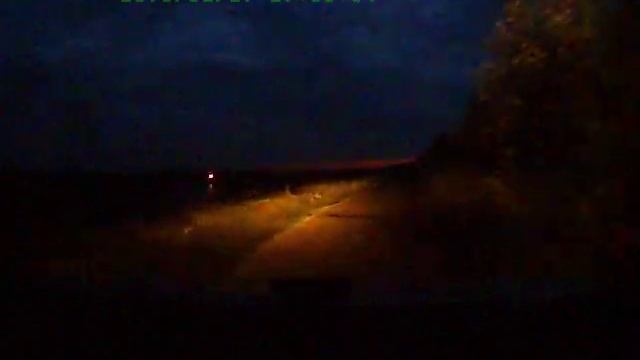 лиса в свете фар смотреть онлайн