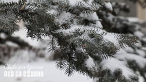 Бездомный нищий нашел на свалке сверток с замерзающим младенцем, который круто изменил его судьбу