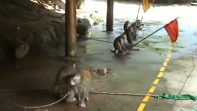 Хайнань - Пекин 2012 смотреть онлайн