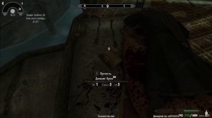 НЧУАНД-ЗЕЛ | #20 ПРОХОЖДЕНИЕ SKYRIM