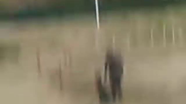 Скоростное преодоление препятствий. Вика и Антер смотреть онлайн