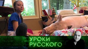 Урок №83. Грета, Трамп и Бурёнка