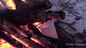 Кипятим воду в пластиковом стакане