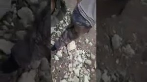 РЕМОНТ ЭКСКАВАТОРА ХУНДАЙ 190