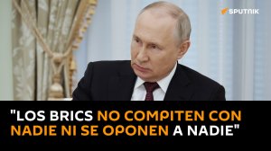 "Los BRICS no compiten con nadie ni se oponen a nadie"