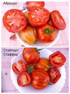 Сибирь. Обзор и дегустация томатов Стайперт Стаффер и Абруццо.