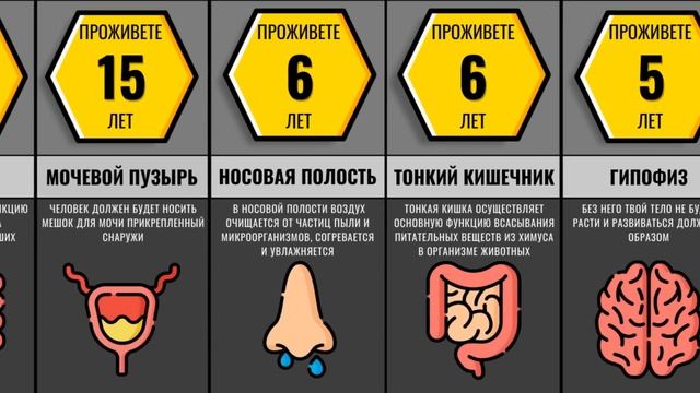 Сколько Вы Проживете Без... смотреть онлайн