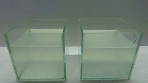 ДАФНИЯ - ГДЕ ВЗЯТЬ?