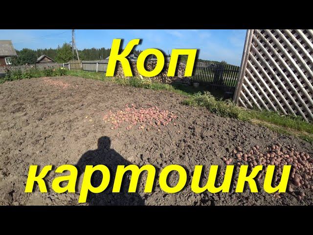 Поездка на металлоприёмку. Коп картошки. Вечерний гром с дождём. Распаковка посылки от зрителя.