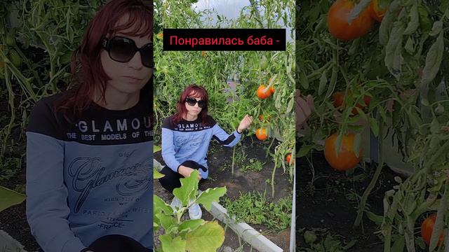 деревенская практичная романтика! Прикол и мои 🍅 помидоры!