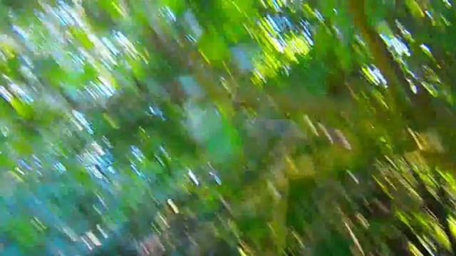 СТОЛЕТНЯЯ ГРУША. СТАРЫЙ СОРТ смотреть онлайн