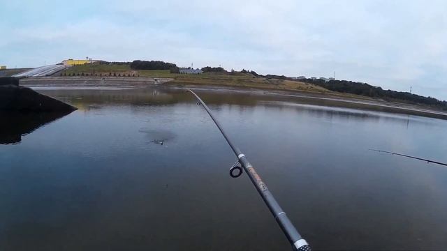 Ловим хорошего окуня на живца! смотреть онлайн