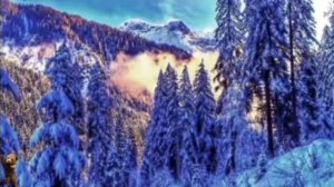 Зимний ветер, вьюга, метель.