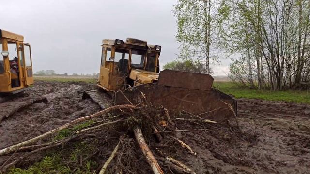 Бульдозерист Узбек - ШОК! смотреть онлайн