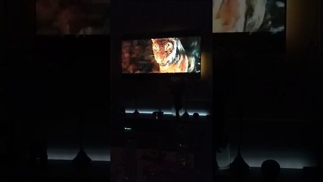 ambilight+extension led strip hue