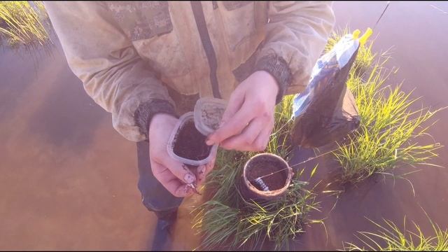 04,06.21Ловля леща с ночёвкой в северном канале. Прикормка плюс много гороха и опарыша. смотреть онлайн