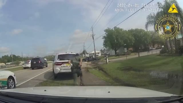 Вылезай, я знаю, что ты в кустах! Полиция США #2 смотреть онлайн