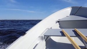 Terhi 440 + yamaha 9.9hp, первый сезон эксплуатации.