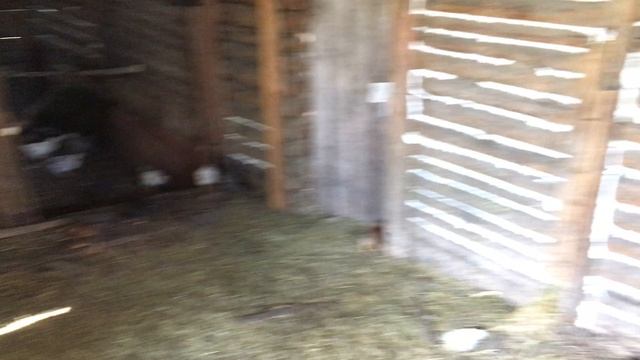 13-05-2023 смотреть онлайн