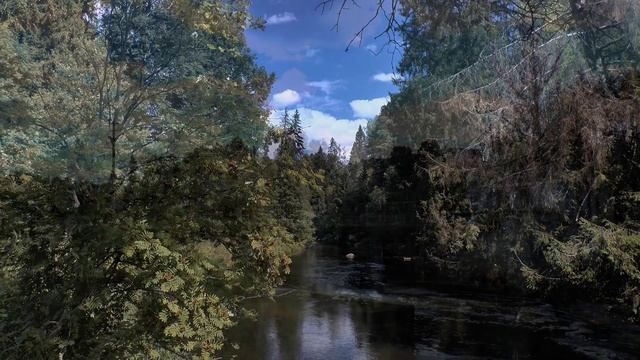 Посёлок Сиверский