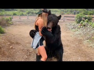 Встречи Животных с Людьми После Долгих Лет Разлуки