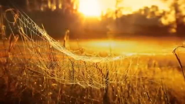 Тютчев Ф.И. Есть в осени первоначальной... смотреть онлайн