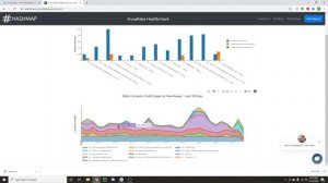 Snowflake Healthcheck: Improve the Health of Your Snowflake Environment - Hashmap Megabytes - Ep 8