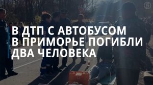 В Приморье в ДТП с туристическим автобусом погибли два человека — Коммерсантъ