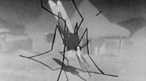 Disney Channel (education) - Les insectes porteurs de maladies (1944)  - LPDM