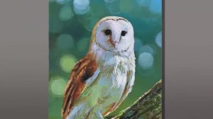 (2 Correa Art) Barn Owl Wildlife _ Acrylic painting _ Correa Art