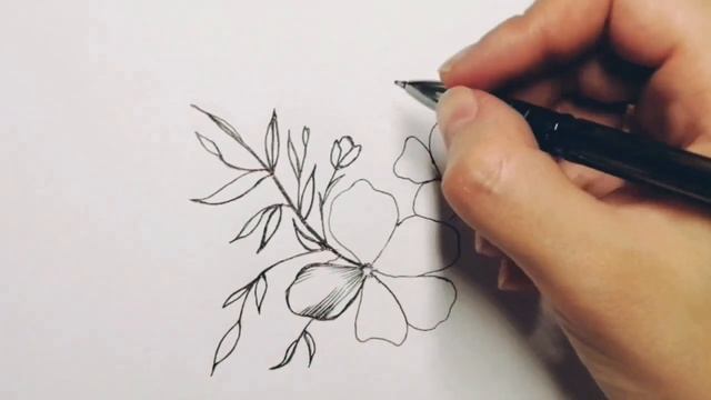 Скетч цветы, заполняю скетчбук /графика цветы/как рисовать цветочки/артблог/легкийрисунок