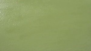 Отзывы о Рапторе