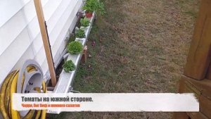 ? ?Правильные горшки для гидропоники ?- это чертовски важно!