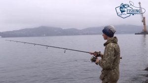 Ловля минтая 2023.Рыбалка в г.Находке, Приморский край.