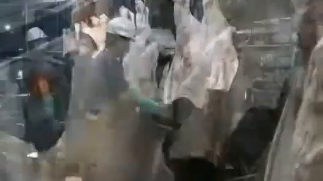 Забеловочный нож для подрезания кожи у КРС JC IIIA Jarvis смотреть онлайн